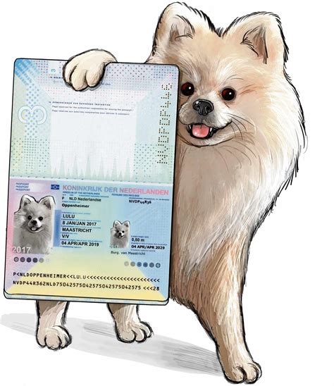 is een paspoort verplicht